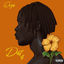 Cover DUST OFF