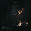 Cover Musicothérapie (Unplugged)