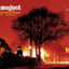 Cover Lay Lady Lay (EW273CD)