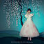 Cover Blossom