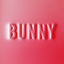 Cover Bunny
