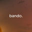 Cover bando