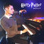 Cover Harry Potter Medley: Hedwig's Theme / Harry's Wonderful World