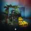 Cover Better View (Deluxe)