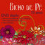 Cover Bicho de Pé 10 Anos - ao Vivo
