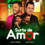 Cover Surto De Amor (Ao Vivo)