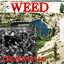 Cover Deserve