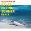 Cover NEVER ENDING SUMMER REMIX