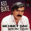 Cover Şirin Yar (Aso Buke)