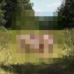 ''
