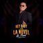 Cover Hey Baby Llego la Novel