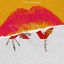 Cover XV