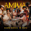 Cover AMIMA