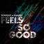 Cover Feels So Good (Sonique vs. Ramiro) (Remixes)