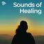 Cover Sounds of Healing
