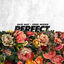Cover Perfect