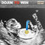 Cover Born to Win