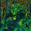 Cover DEAD SPIRIT