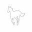 Cover White Pony
