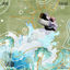 Cover vontade