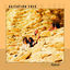 Cover Malesch