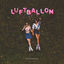 Cover Luftballon