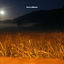 Cover From a Distance