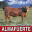 Cover Toro y Pampa (Remasterizado 2021)