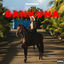 Cover Sankuna