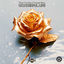 Cover Wonderful Life