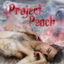 Cover Project Peach