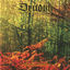 Cover Autumn Aurora