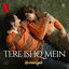 Cover Tere Ishq Mein