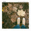 Cover Stay