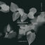 Cover Endorphin