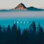 Cover Tryst