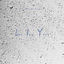 Cover L.I.Y.