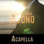 Cover Ribono