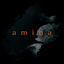 Cover Amina