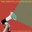 Cover Twenty-something Socialist