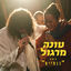 Cover כנפיים (Live)