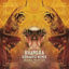 Cover Bhangra (Konaefiz Remix)