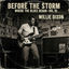 Cover Before the Storm: Where the Blues Began - Vol. 10