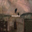 Cover Honeydew