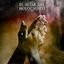 Cover Fe