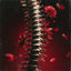 Cover spine