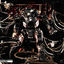 Cover DYNAMIC