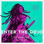 Cover Enter the Dojo