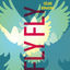 Cover Fly Fly