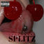 Cover Splitz